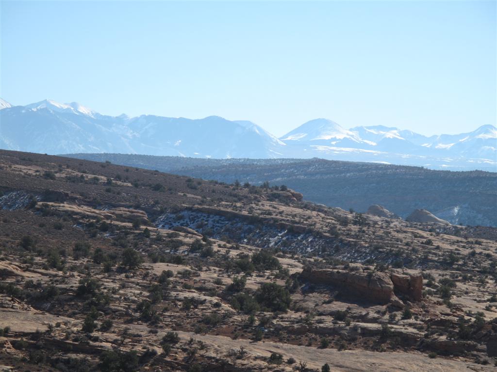 IMG_4495 (Large).JPG IMG_4495 (Large).JPG